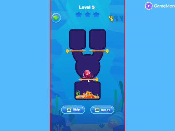 Clownfish Pin Out