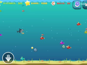Crazy Shark