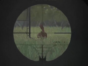 Dino Survival