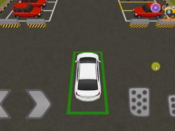 Realistic Parking
